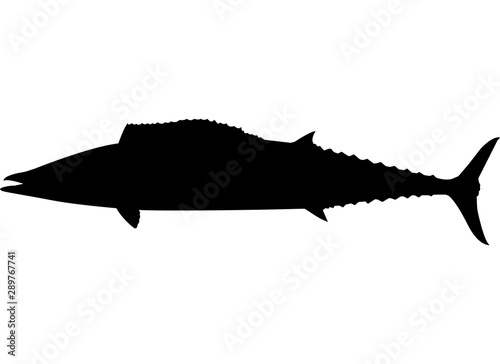 Wahoo Fish Silhouette Vector