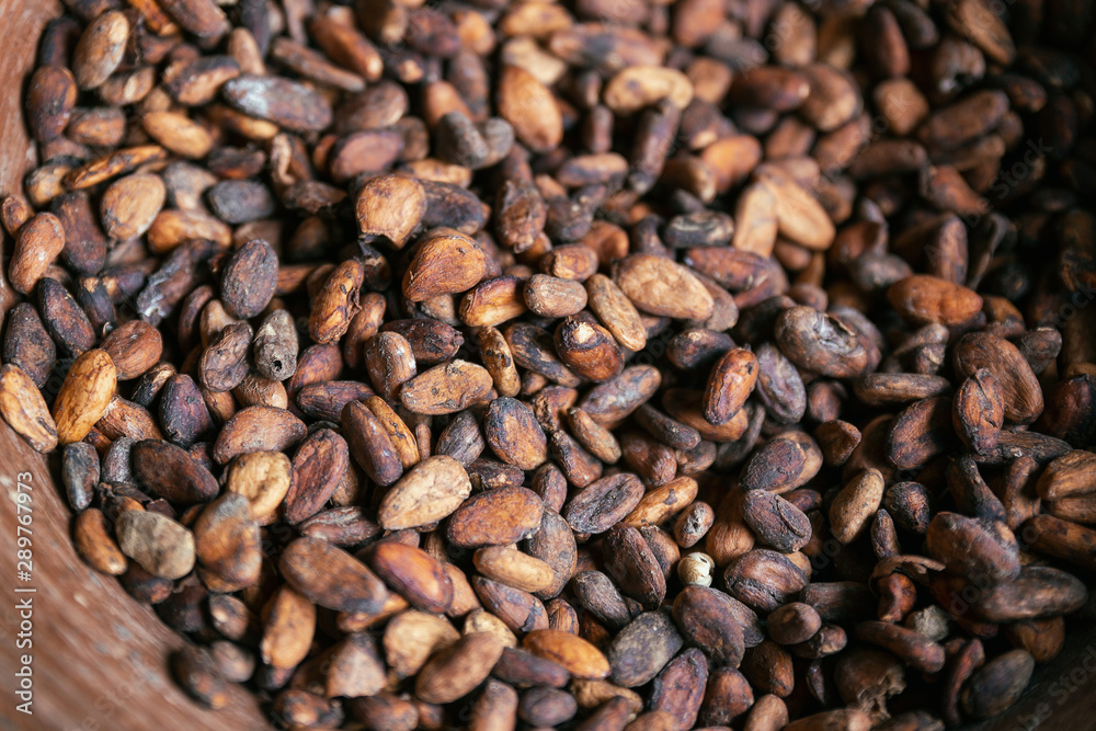 Cocoa beans in a bowl at the farm on Bali island Cocoa beans in a bowl at the farm on Bali island