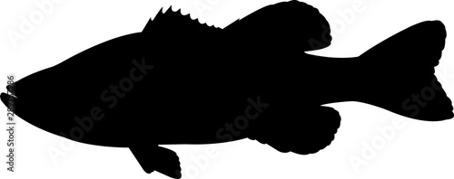 Largemouth Bass Fish Silhouette Vector