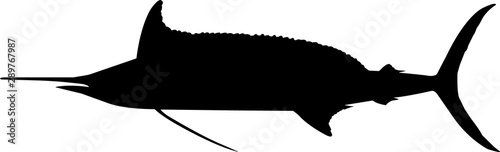 Longbill Spearfish Fish Silhouette Vector