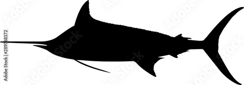 Blue Marlin Fish Silhouette Vector