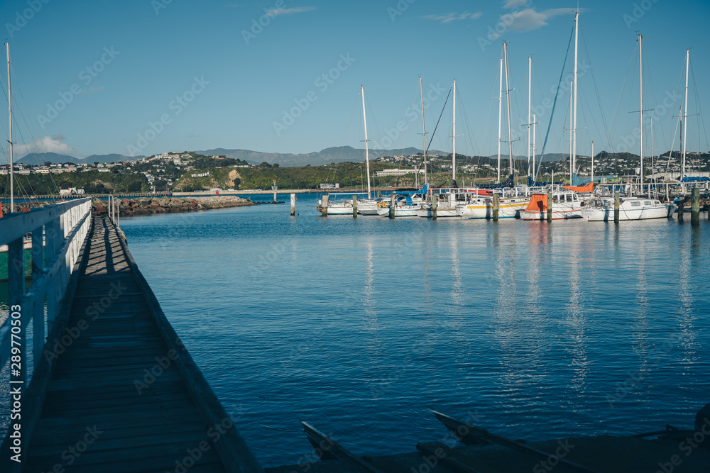 Obraz premium Sailboats In Harbour Of Evans Bay, Wellington