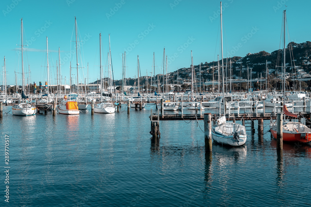 Sailboats In Harbour Of Evans Bay, Wellington