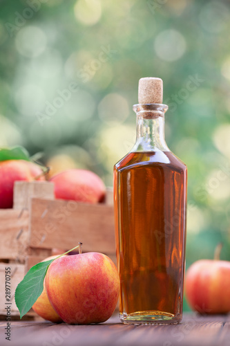 apple cider or vinegar