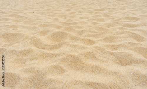 texture of sand © BUDDEE
