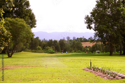 Fototapeta Naklejka Na Ścianę i Meble -  A relaxing round of golf in Bellingen. Australia.
