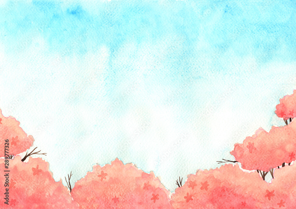 Cherry blossom tree with blue sky background watercolor hand painting.