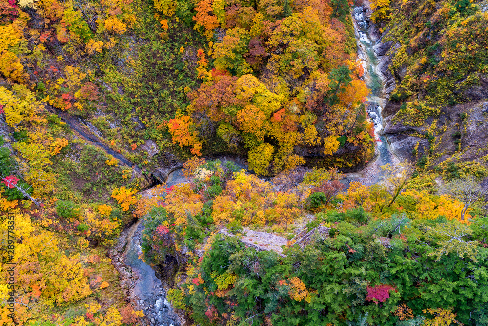 Aerial view of Autumn Fall River Landscape