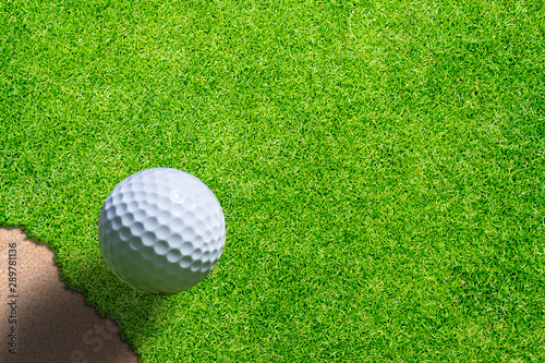 green grass texture from golf course