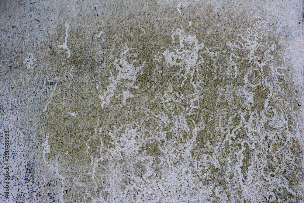 Texture of an old wall with heavily peeling paint and traces of green moss Texture of an old wall with heavily peeling paint and traces of green moss