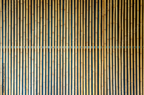 Texture of Yellow Bamboo Wall.