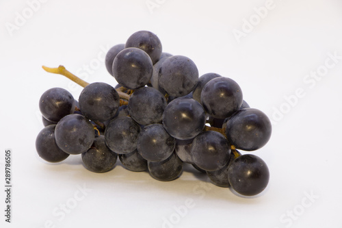 branch of black grapes on  white background