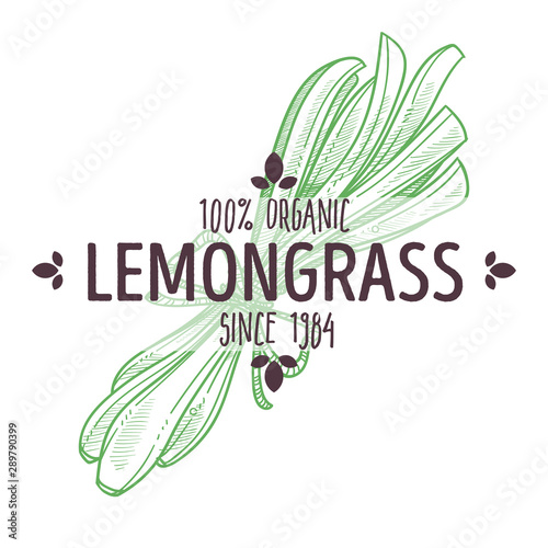 Herbal tea ingredient, lemongrass isolated icon with lettering