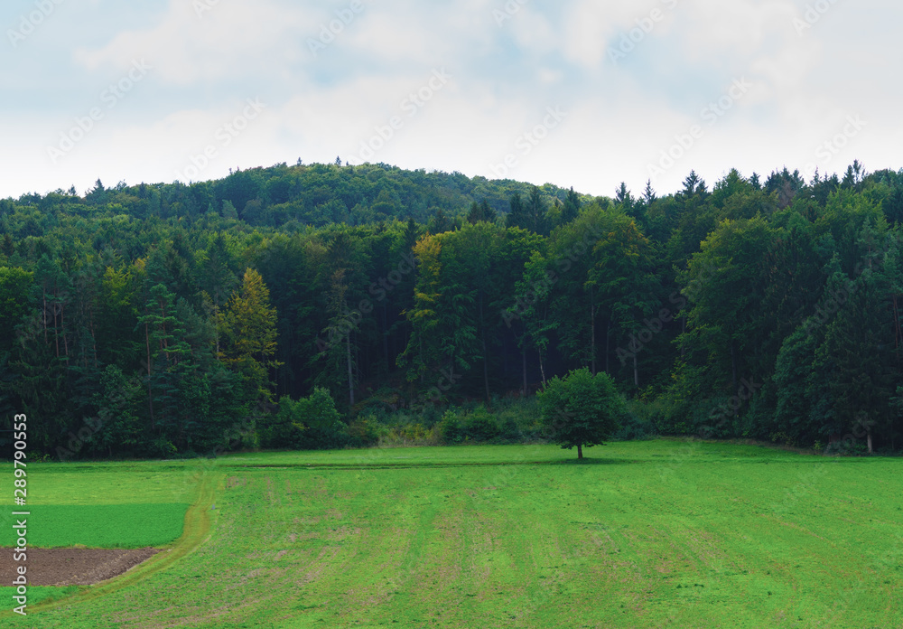Natur Natur