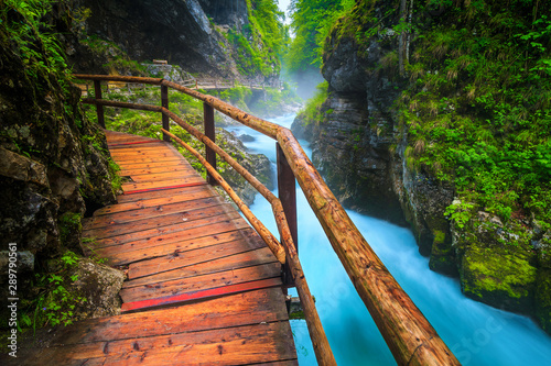Carta da parati Noisy Radovna river in Vintgar gorge with wooden footbridge, Slovenia