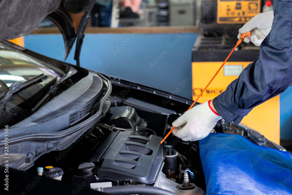 A mechanic Check the oil. Work equipment such as glove.Concept Service by car.. A mechanic Check the oil. Work equipment such as glove.Concept Service by car..