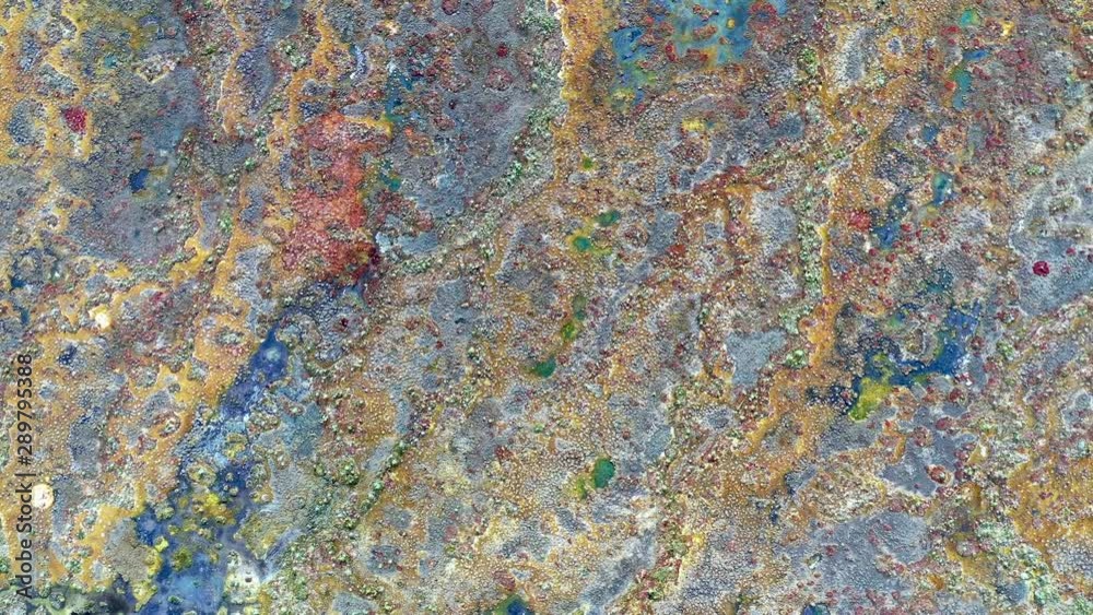 aerial view to autumn swamp 4k aerial view to autumn swamp 4k