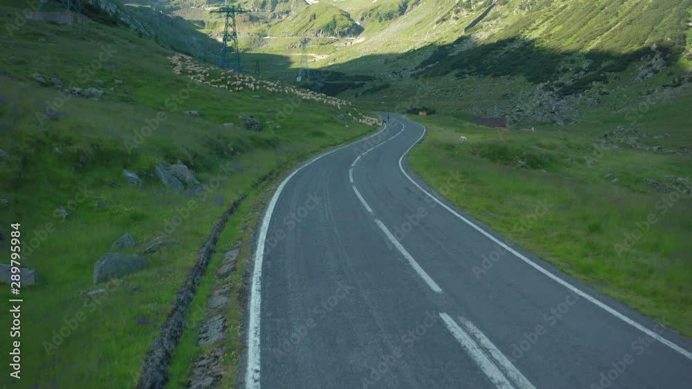 Drone Parallax Over Road With Sheep And Revealing Mountains In Transfagarasan, Romania 4K. Tilt Up Drone Parallax Over Road With Sheep And Revealing Mountains In Transfagarasan, Romania 4K. Tilt Up