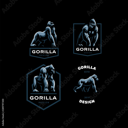 Gorilla. Big monkey.
