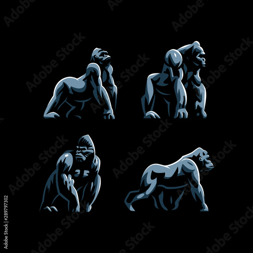 Gorilla. Big monkey.
