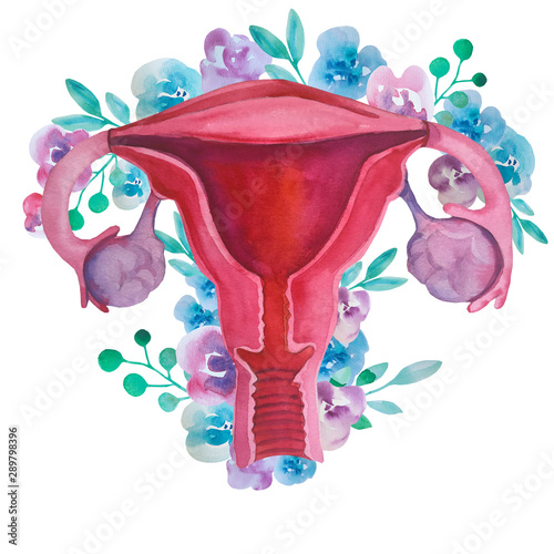 Fotótapéta Watercolor women's print, organ of the uterus with flowers, feminism, female nature