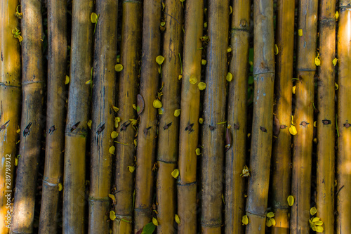 Bamboo Fence Outside Surface, rough fence bamboo pattern background