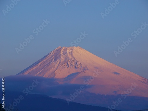 朝焼けした雪化粧の富士山