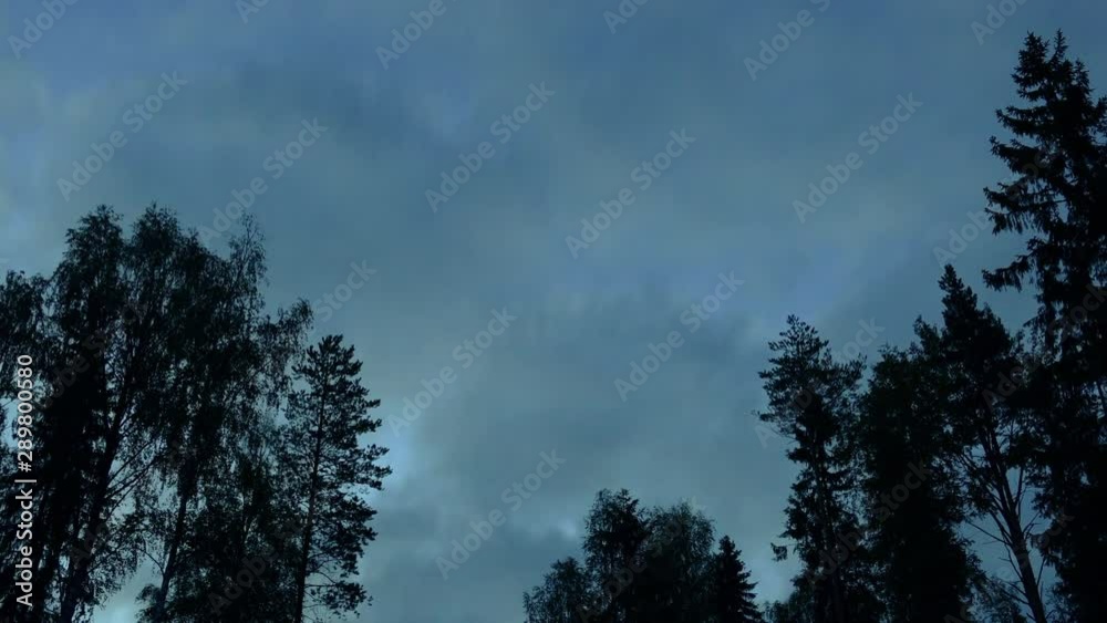 Timelapse of clouds forming in the night sky with trees on the front. Timelapse of clouds forming in the night sky with trees on the front.