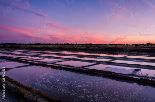 Marais Salant Ile de Ré lever soleil