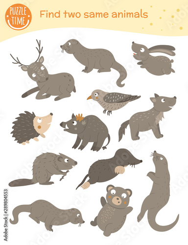 Find two same animals. Matching activity for children. Funny woodland game for kids. Logical quiz worksheet..