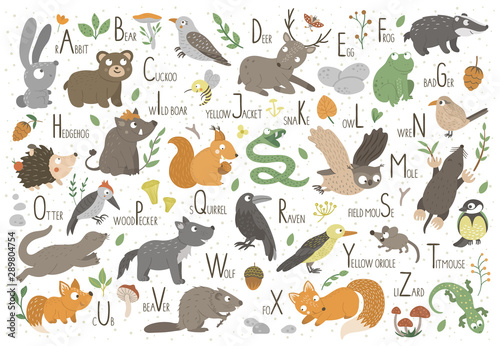 Wallpaper Mural Woodland alphabet for children. Cute flat ABC with forest animals. Horizontal layout funny poster for teaching reading on white background.. Torontodigital.ca