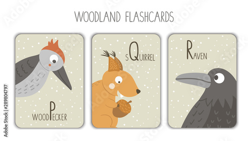 Colorful alphabet letters P, Q, R. Phonics flashcard. Cute woodland themed ABC cards for teaching reading with funny woodpecker, squirrel, raven..