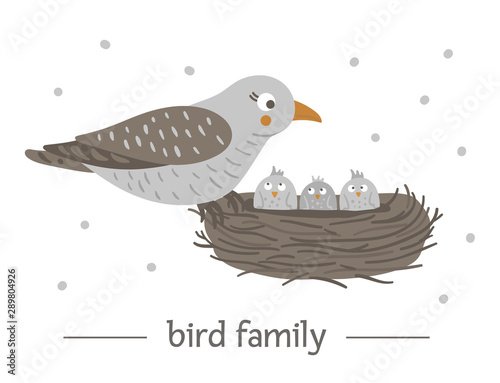 Vector hand drawn flat bird sitting on the nest with eggs. Funny woodland animal scene showing family love. Cute forest animalistic illustration for children’s design, print, stationery.