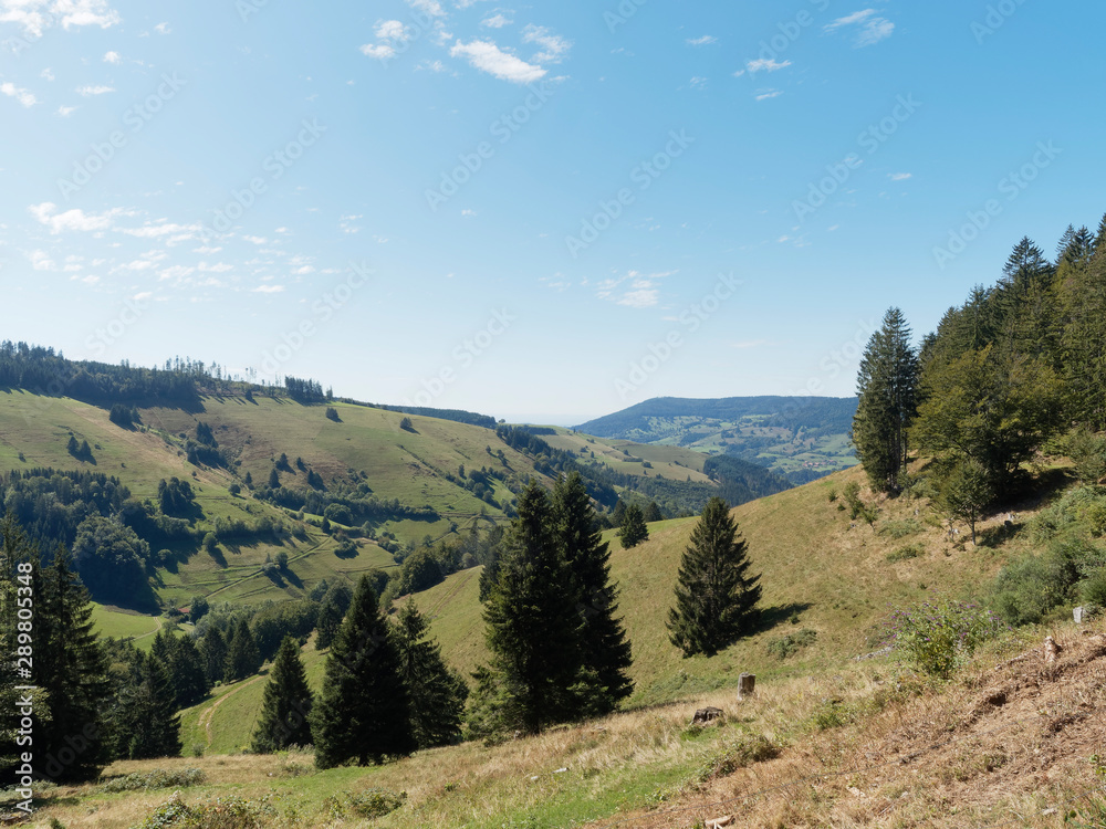 Landschaft vom Schwarzwald. Grüne Landschaften der Schwarzwaldberge. Wiesen und Hügel rund um Fröhnd