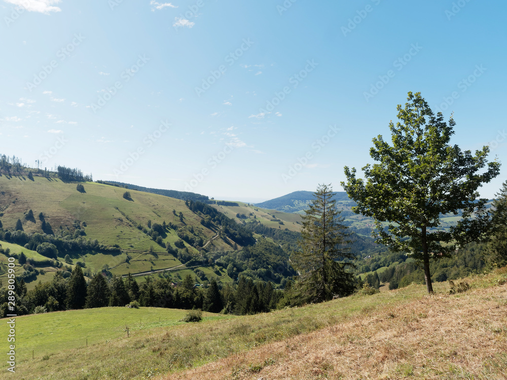 Landschaft vom Schwarzwald. Grüne Landschaften der Schwarzwaldberge. Tal, Wiesen und Hügel rund um Fröhnd