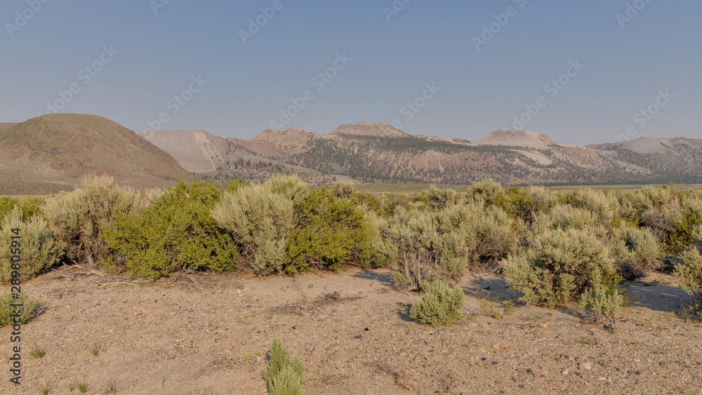 Mono Craters scenic view from Pumice Valley (Mono County, California, USA)