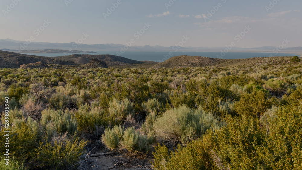 scenic view Mono Lake and Paoha Island from Pumice Valley (Mono County, California, USA)