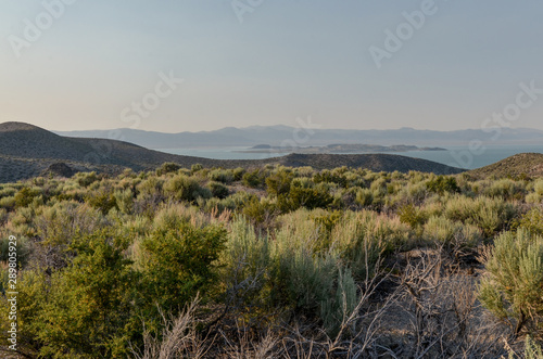 scenic view of Paoha and Negit islands on Mono Lake from Pumice Valley (Mono County, California, USA) © ssmalomuzh