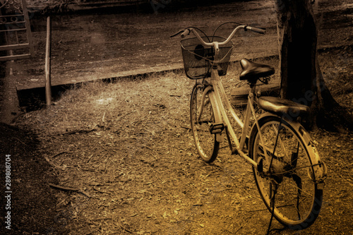  Old bicycle Vintage