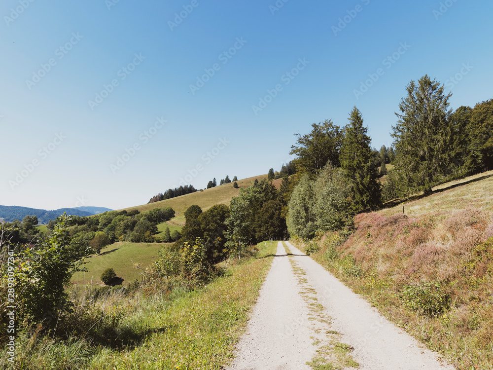 Landschaft vom Schwarzwald. Blick auf die Berglandschaft rund um Fröhnd vom Panoramaweg
