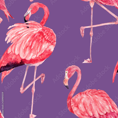 Pink flamingos seamless watercolor pattern. Zoo bird park. Hand drawn illustration with flock pink birds, pink feathers, watercolor background