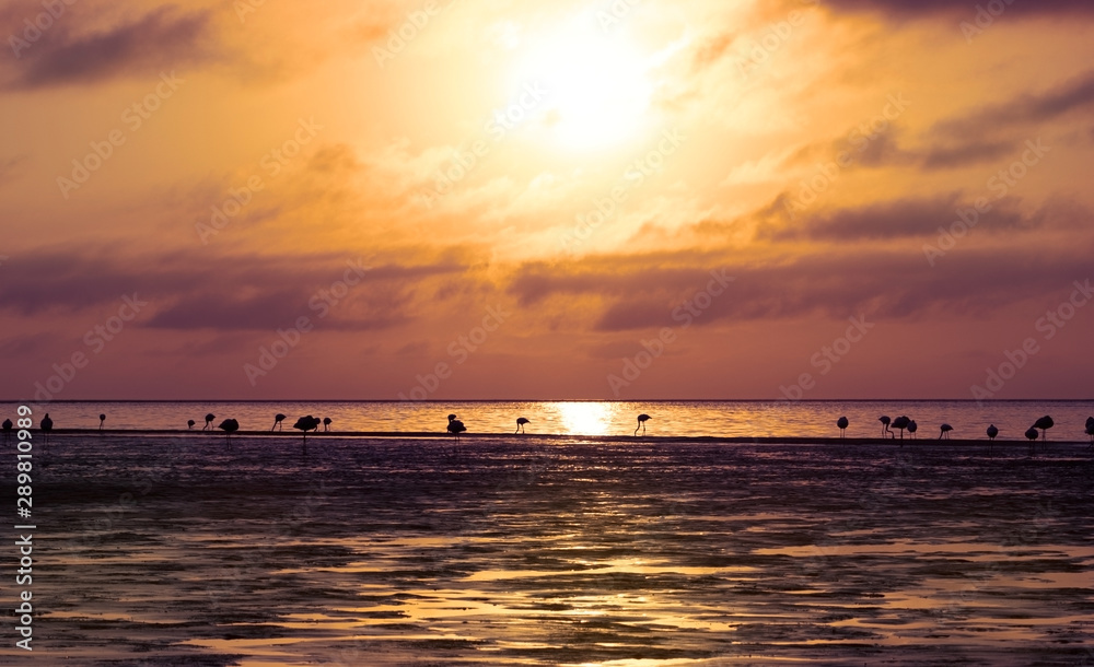 Sunrise over the sea and beautiful cloudscape. Meditation ocean and sky background. 