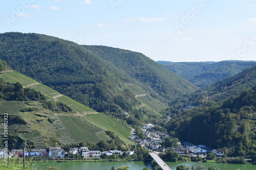 Blick auf Zell an der Mosel, Weinberge und Teile der Moselshcleife photo