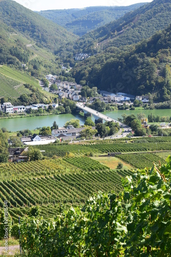 Blick auf Zell an der Mosel, Weinberge und Teile der Moselshcleife photo