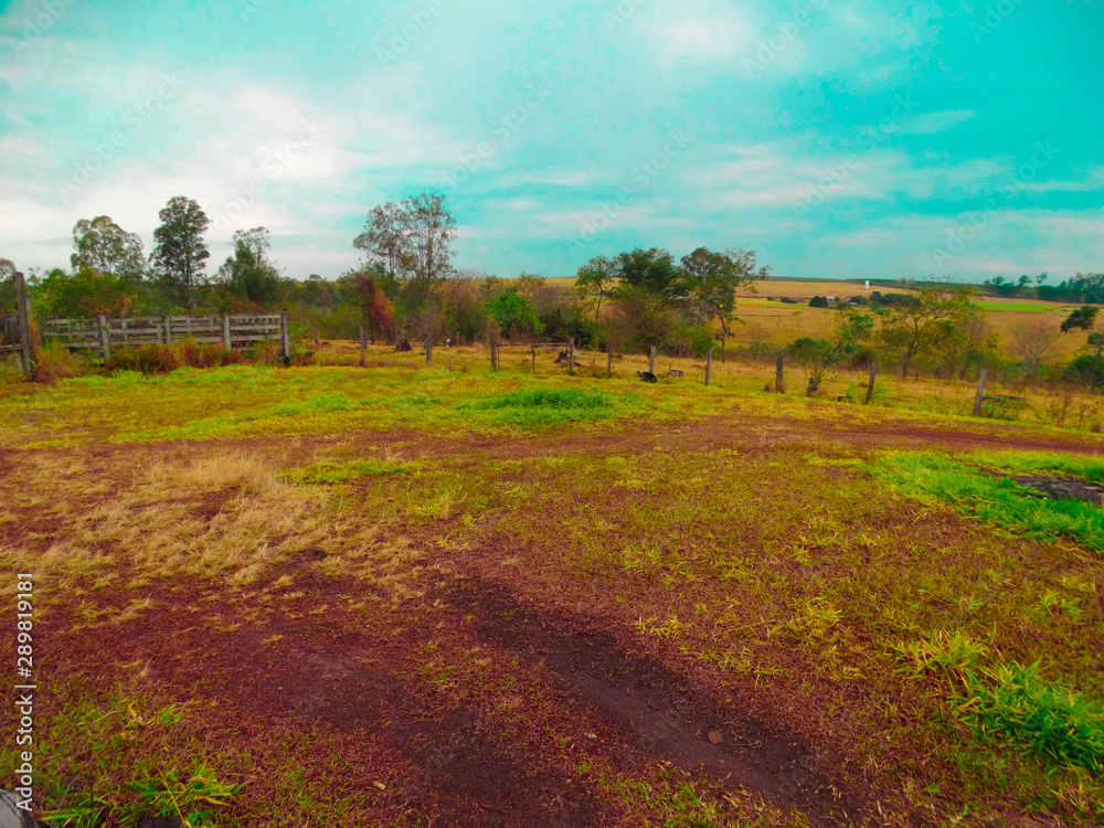 Fototapeta premium landscape