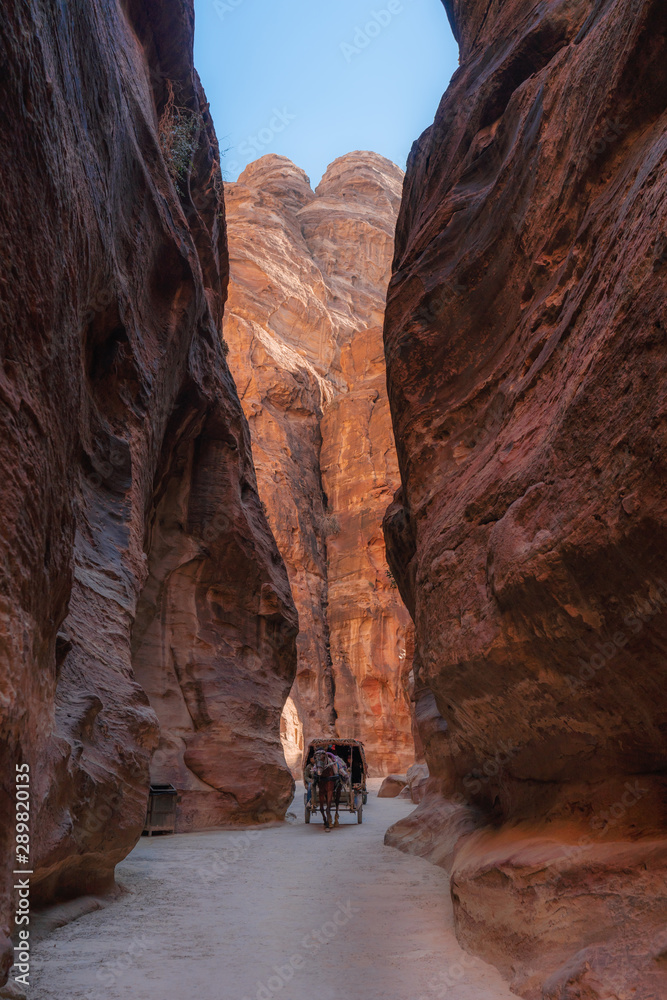 Natural stone wall with tourist carriage horse on narrow path in Petra, Jordan