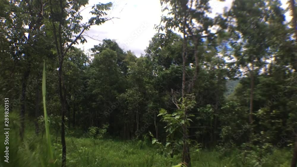 Mountains, forests, and nature in the evening. Mountains, forests, and nature in the evening.