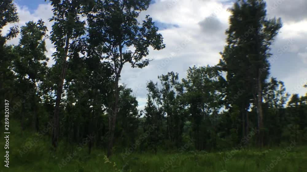 Mountains, forests, and nature in the evening. Mountains, forests, and nature in the evening.