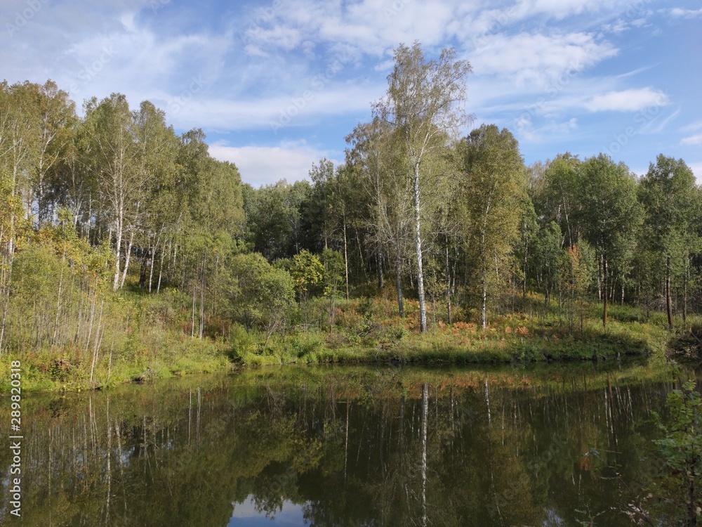 Obraz premium lake in the forest