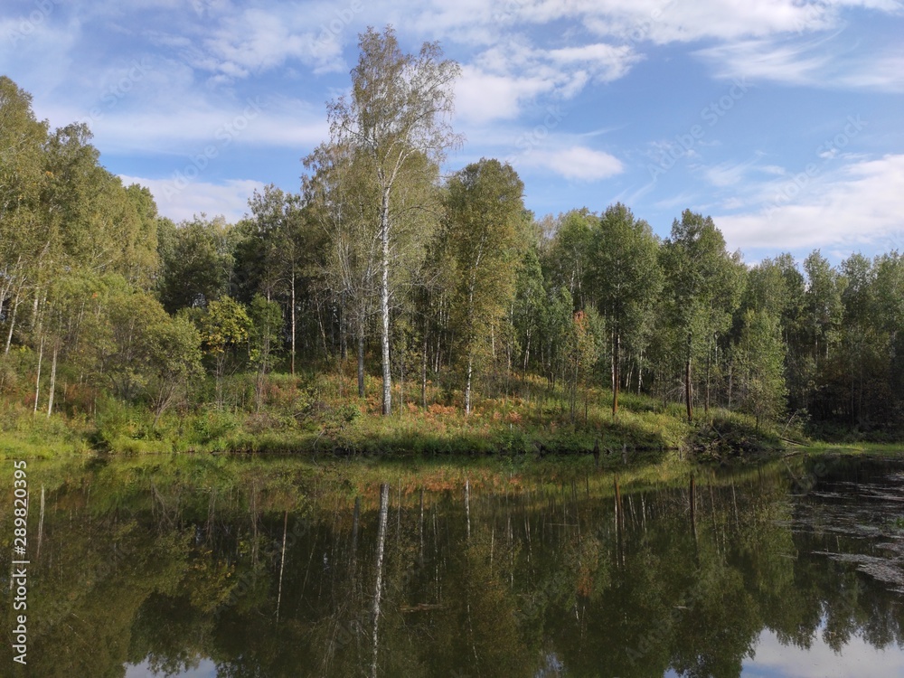 lake in the forest